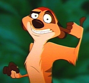 Timon